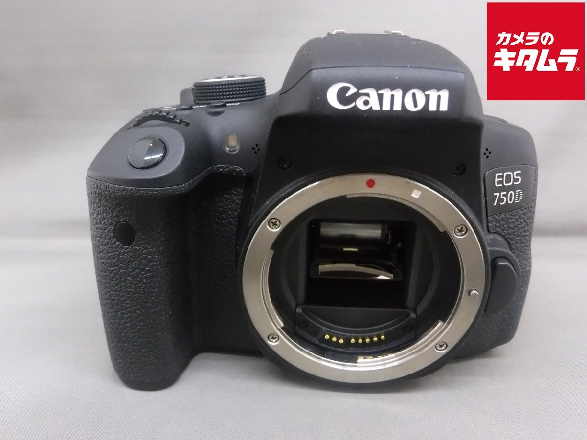 【中古】 【並品】 デジタル一眼レフカメラ 各種 （海外モデル）