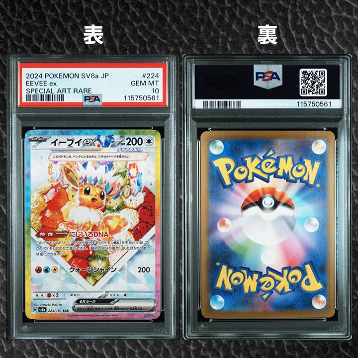 テラスタルフェス ブイズ PSA10連番 カテゴリー 【公式通販】