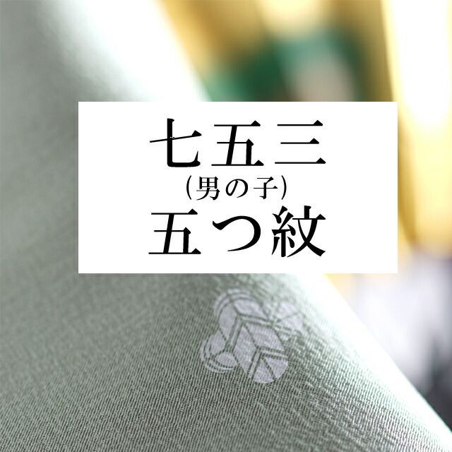 七五三 男の子 着物 紋入れ 五ッ紋sin3026