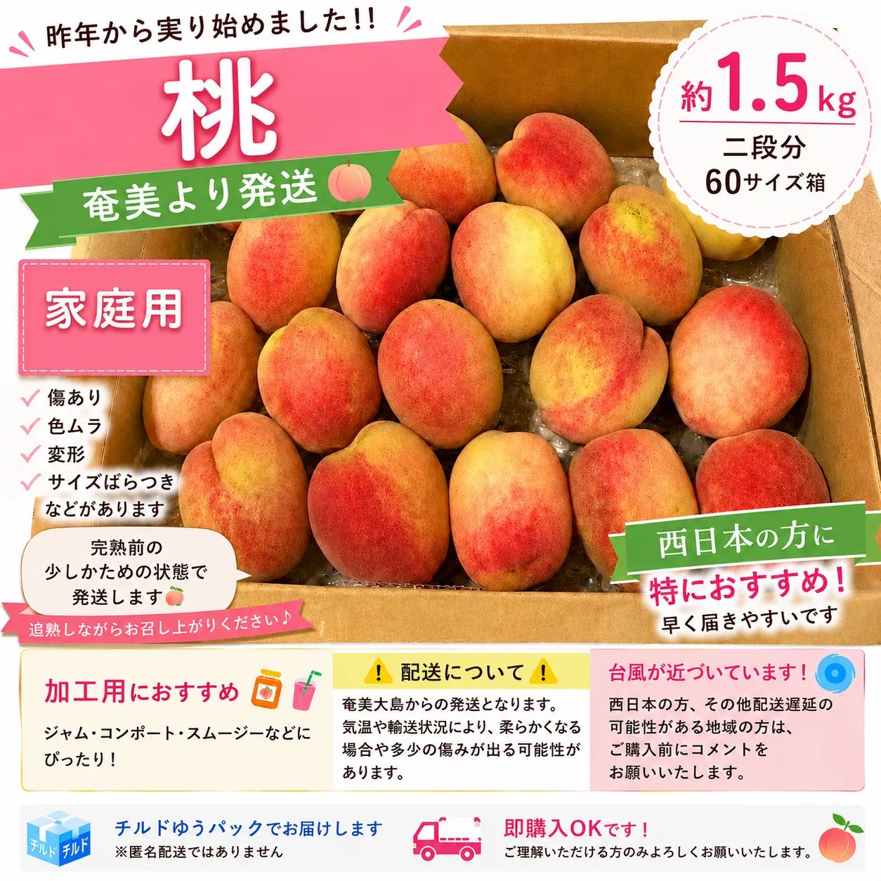 桃　約1.5キロ
