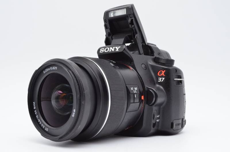 ◇【美品】SONY α37 SLT-A37 DT 18-55mm SAM レンズキット シャッター 