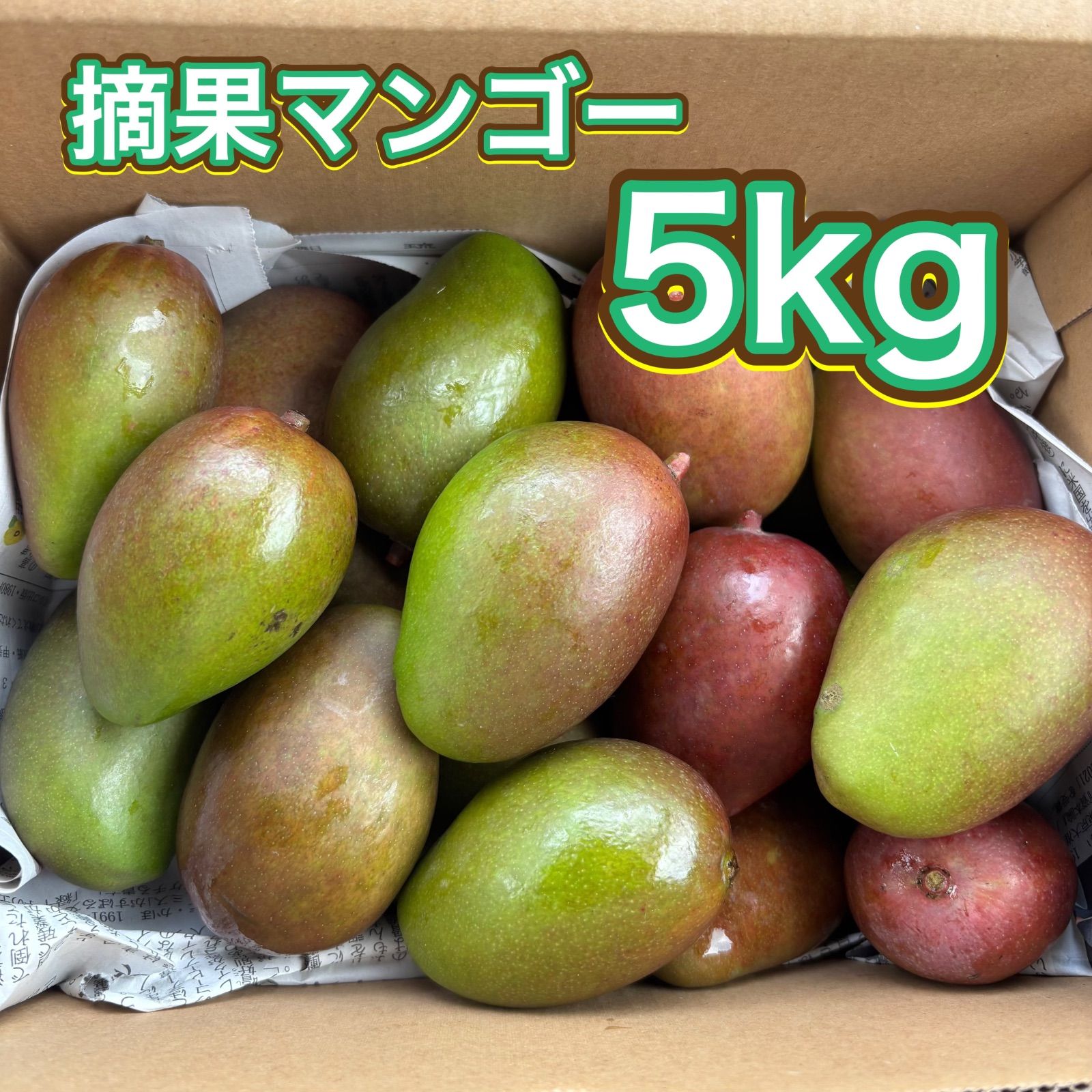 摘果マンゴー6.5kg +α 沖縄県産 摘果マンゴー 約5kg 青マンゴー＊訳あり - メルカリ