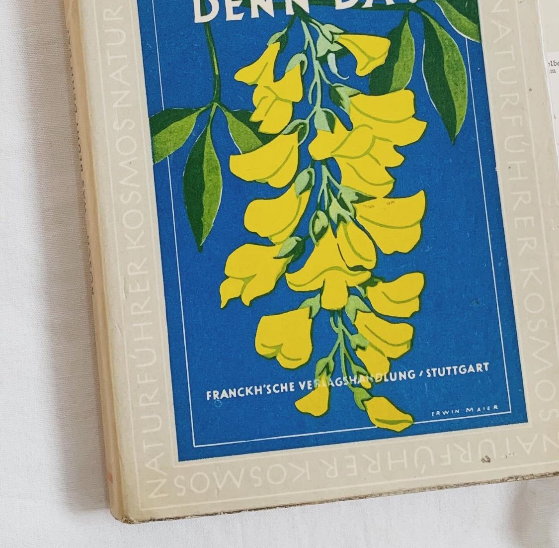 1957年 -豊富な図版が美しいビンテージ植物図鑑-ドイツ/ビンテージ