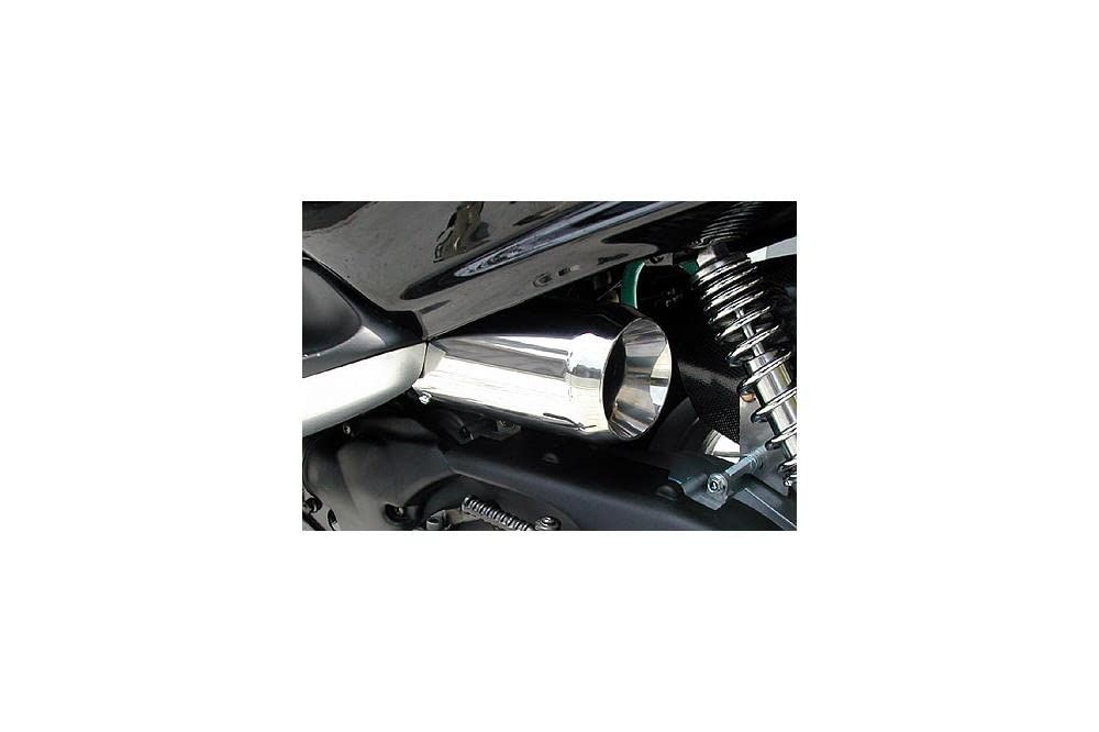 新品 WirusWin(ウイルズウィン) サイレンサー型エアクリーナーキットジェットタイプ(FI車) MAJESTY125(FI) 144-11-02