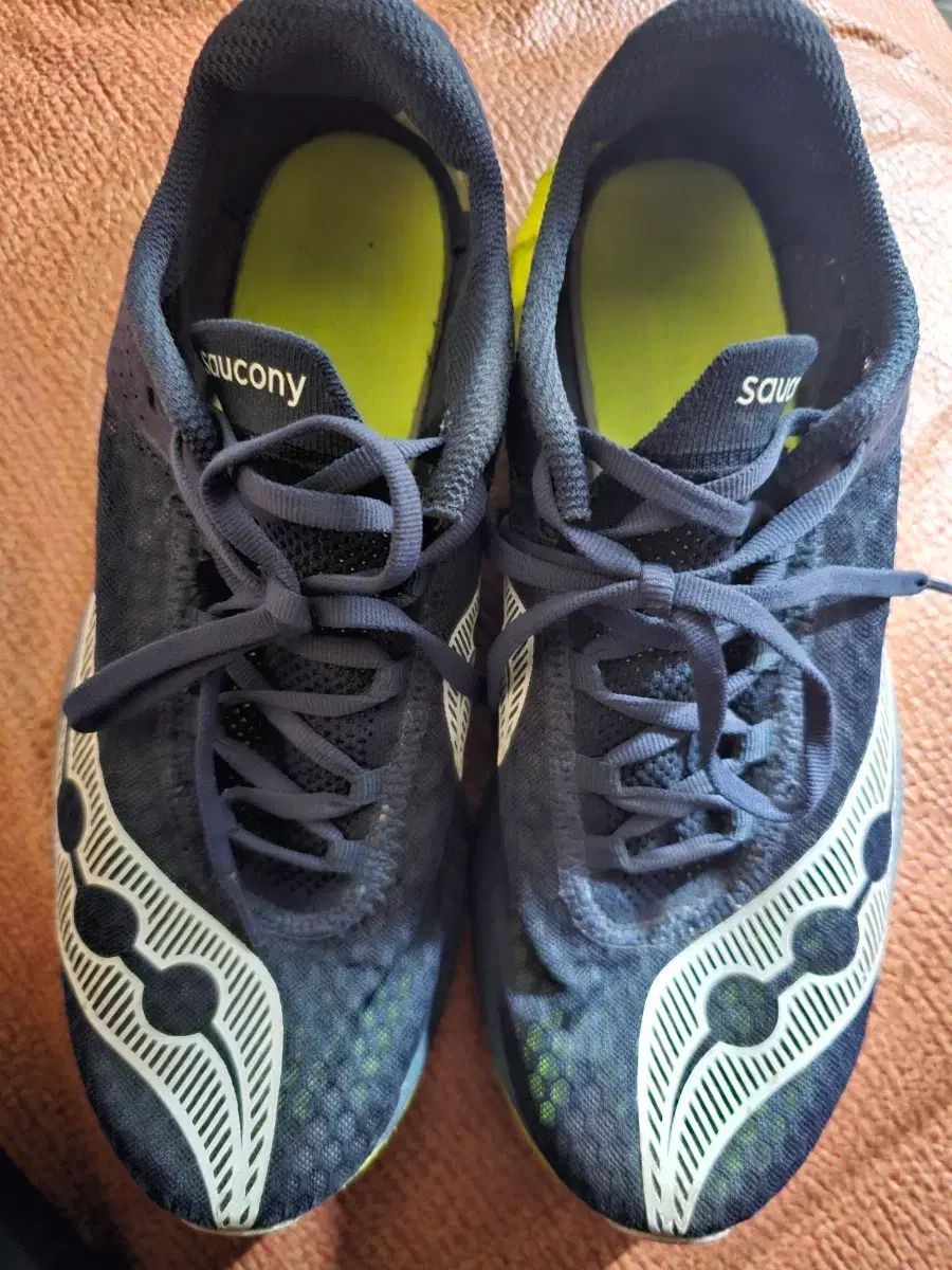 Saucony サッカニー エンドルフィン プロ 4 270mm 出品