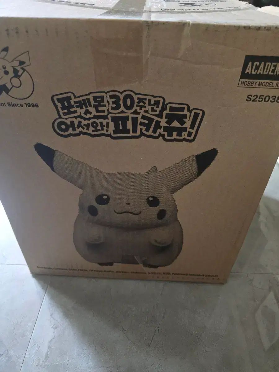ピカチュウ 未開封 新作登場，新作