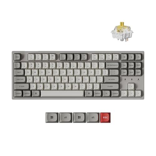 「国内正規品」Keychron C1 Pro 8K QMK/VIA カスタム有線メカニカルキーボード TKL配列 USレイアウト プログラマブル PBTキーキャップ RGBバックライト Keychron Super バナナ軸 対応 Mac/Windows/ｍａ