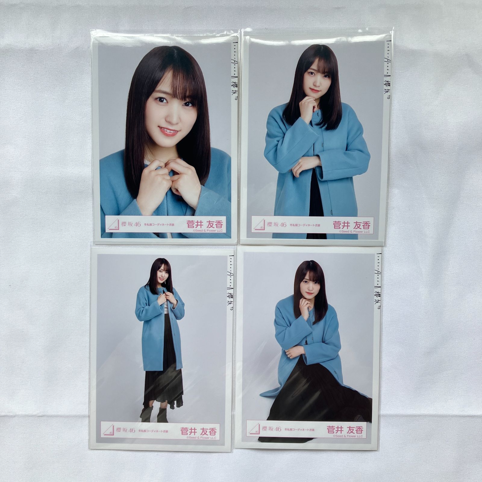 櫻坂46 菅井友香 10 コンプセット 生写真 まとめ売り NL5310P f115