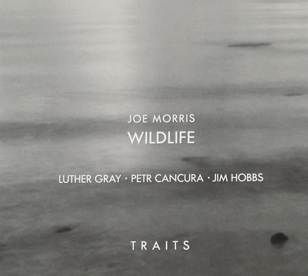 【CD】Traits