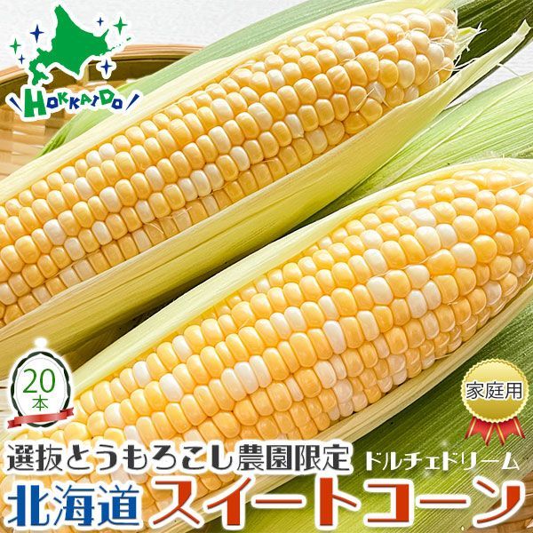 お中元 スイートコーン 北海道 産 とうもろこし ドルチェ ドリーム (バイカラー) 20本セット(10本入り箱×2箱) 人気品種 北海道から産地直送 高級コーン (8月中旬～9月中旬収穫・出荷) 夏ギフト 朝どれ 野菜 冷蔵便 予約品