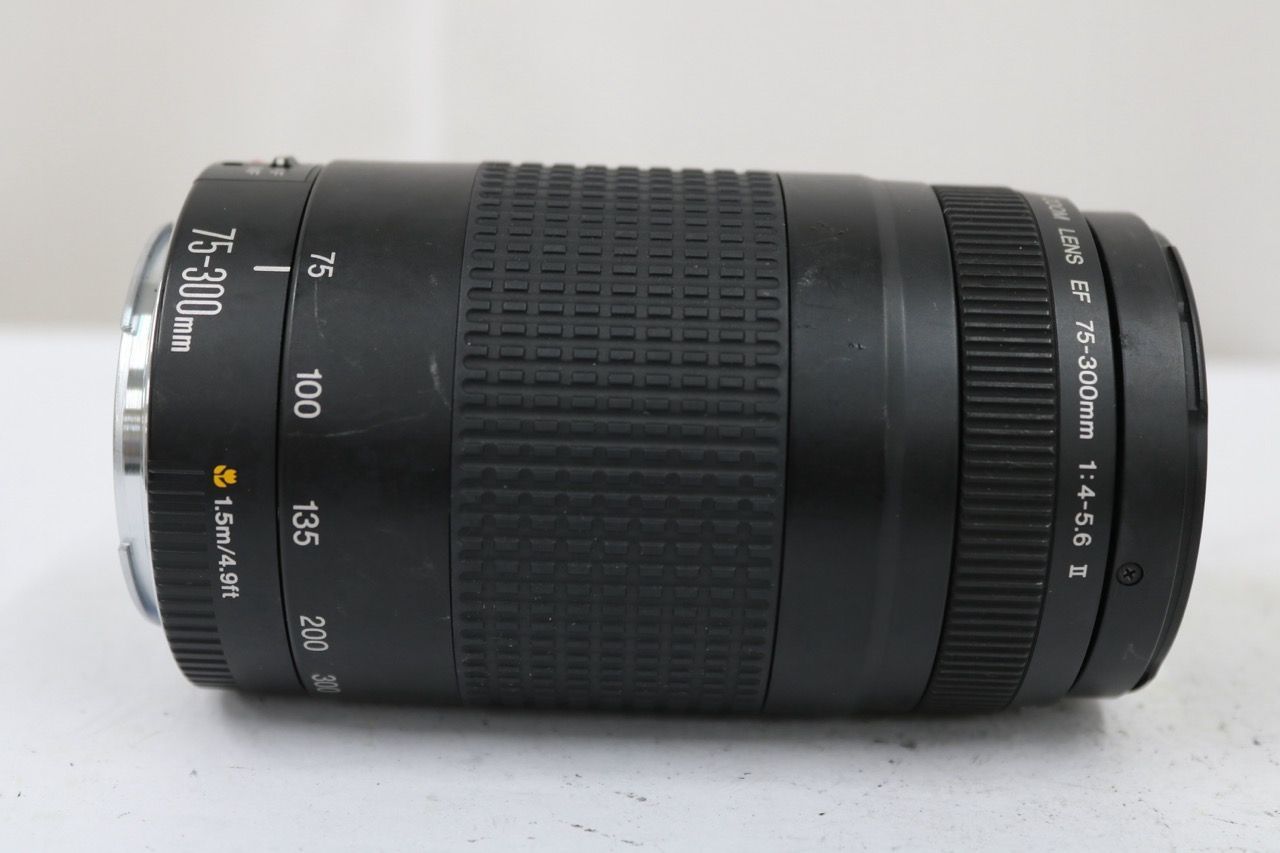 【返品保証】 キャノン Canon EF 75-300mm F4-5.6 II レンズ e13064
