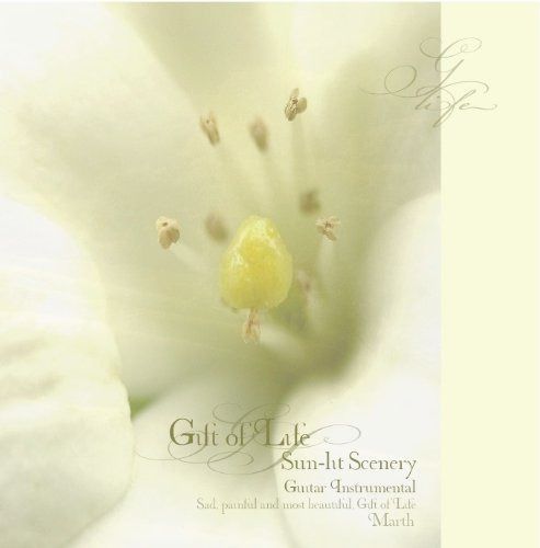 【CD】こもれびの風景 GIFT OF LIFE 命のおくりもの Guitar Instrumental