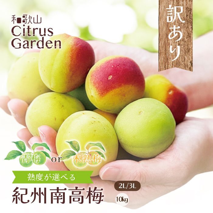 【熟度が選べる】訳あり 南高梅 2L/3Lサイズ 10kg(5kgx2箱) 送料無料 うめ 梅 青梅 木熟梅 和歌山 和歌山県産 梅酒用 梅シロップ用 梅干し用 梅ジャム用
