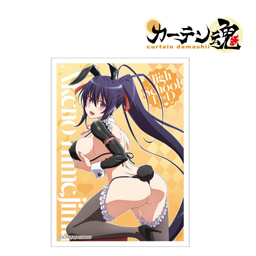 ハイスクールd×d 　スリーブ カーテン魂 ハイスクールD×D HERO 描き下ろしスリーブ 姫島朱乃 逆