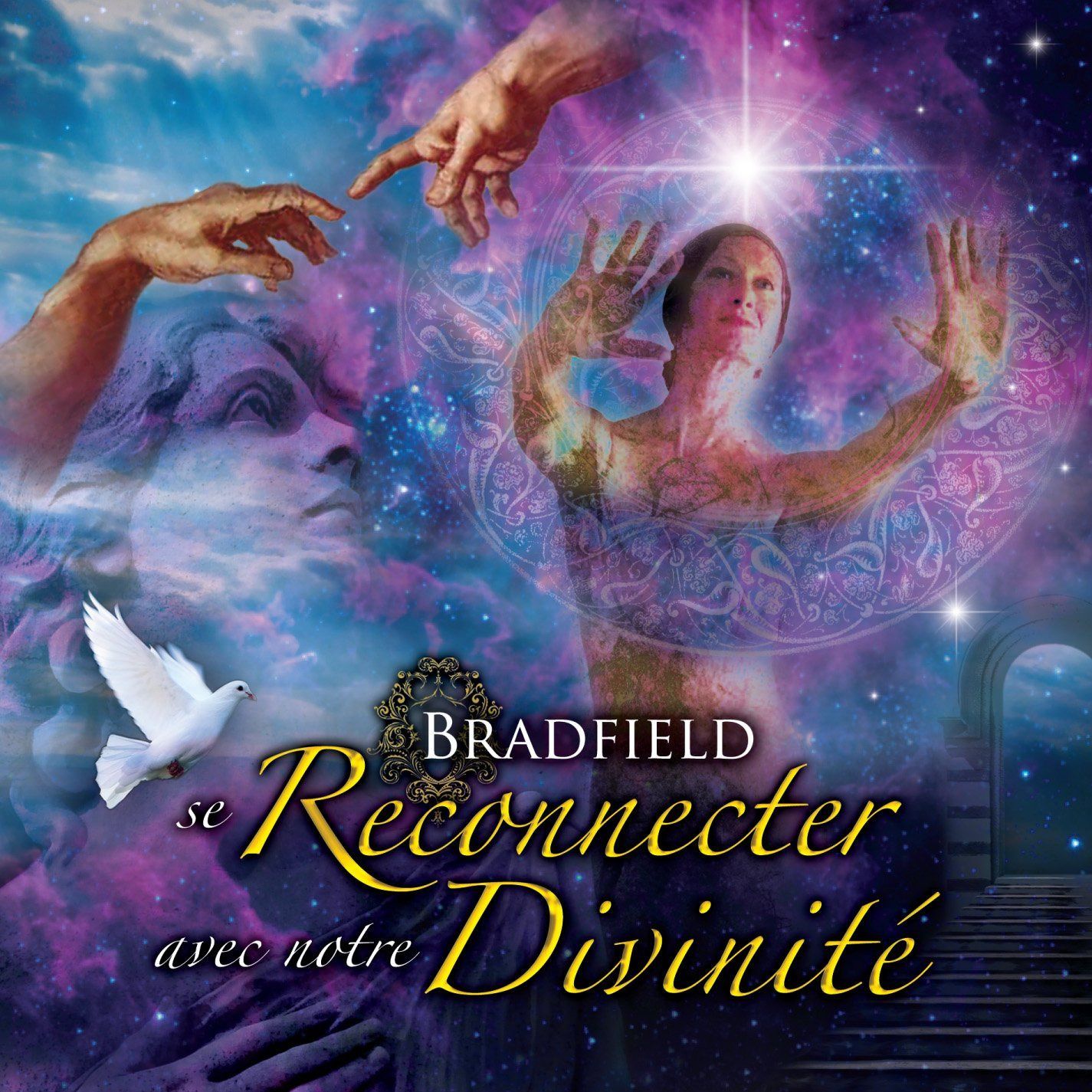 【CD】Se Reconnector A Notre Divinite Audio Book