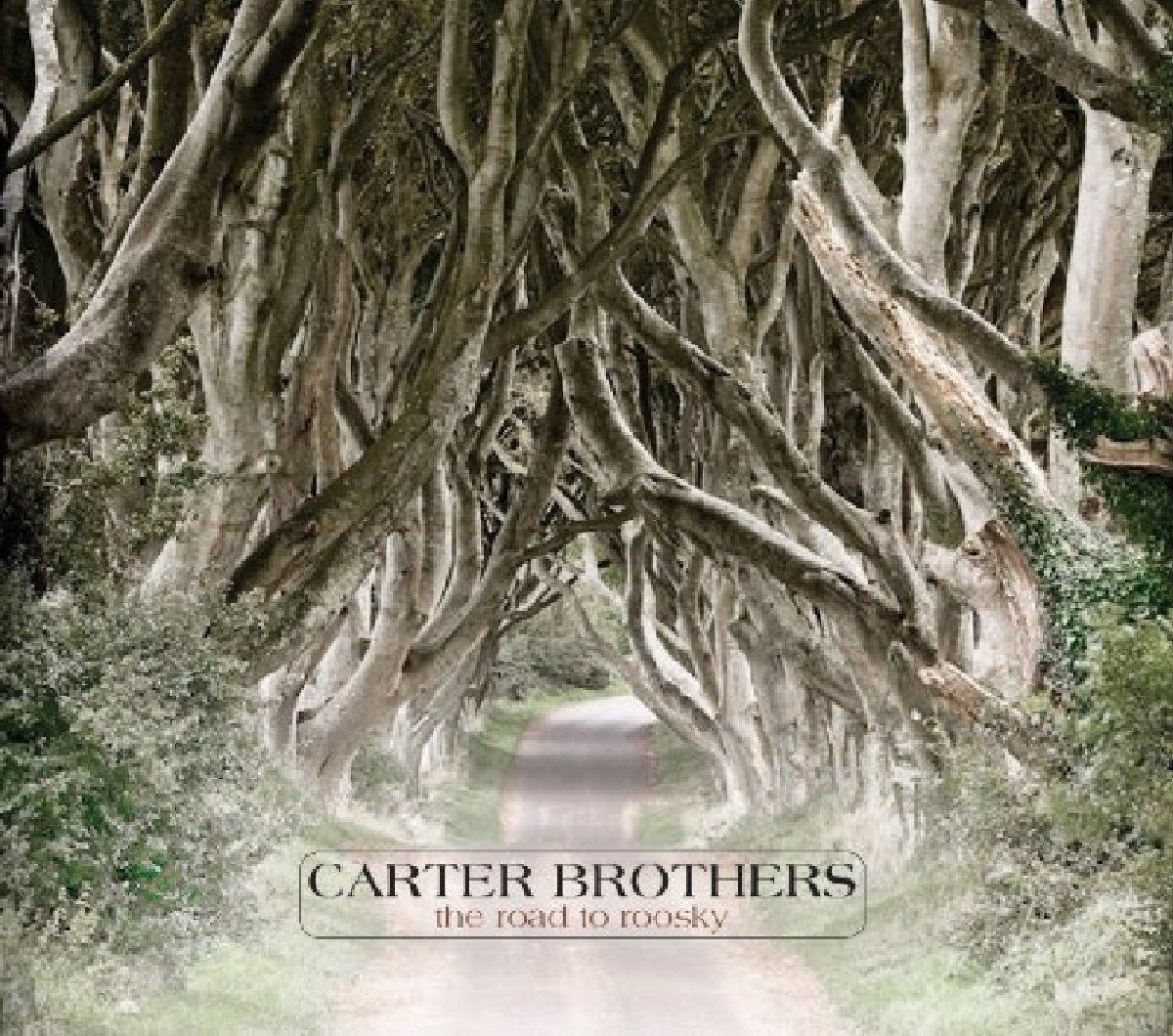 【CD】CARTER BROTHERS