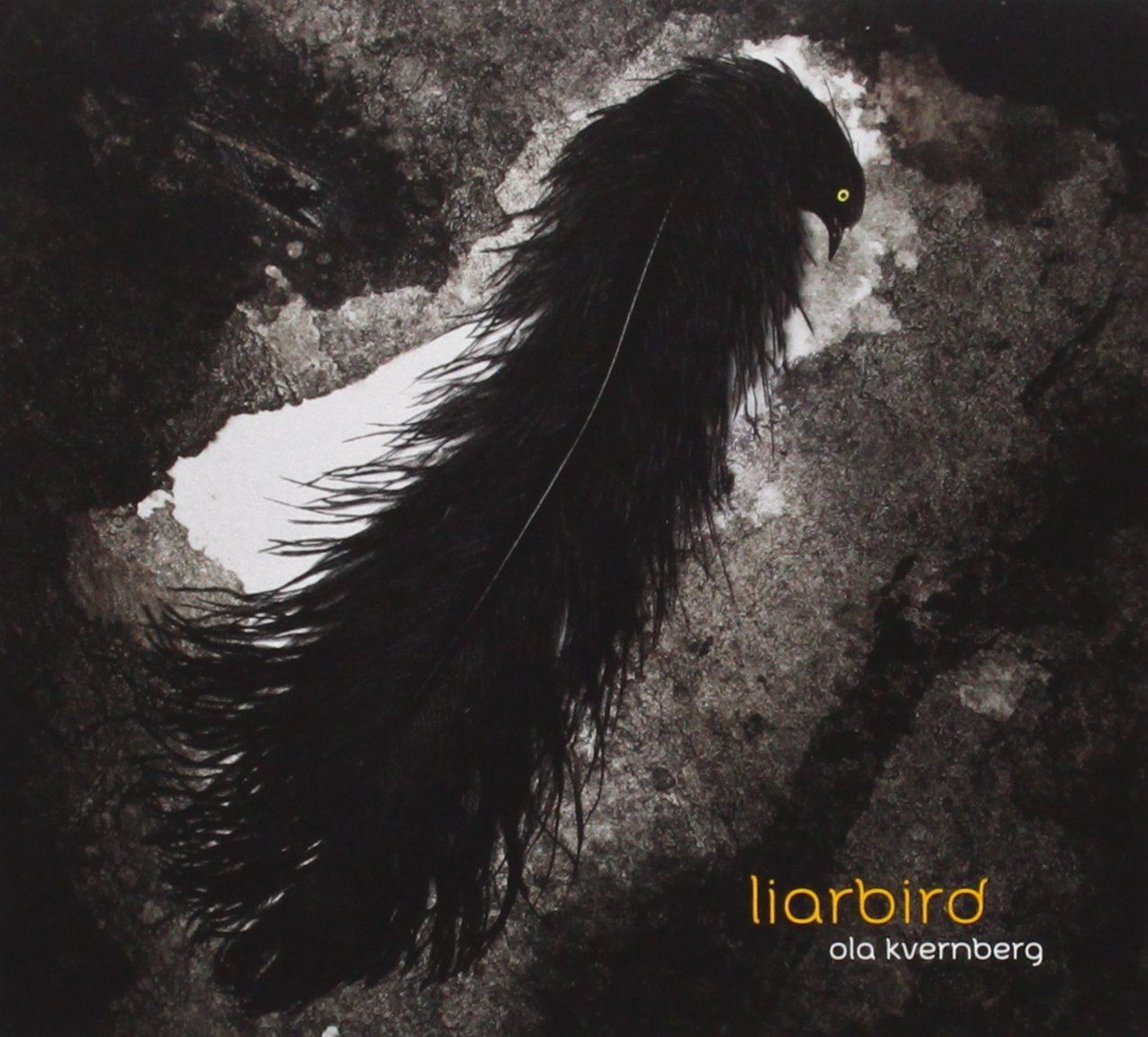 【CD】Liarbird