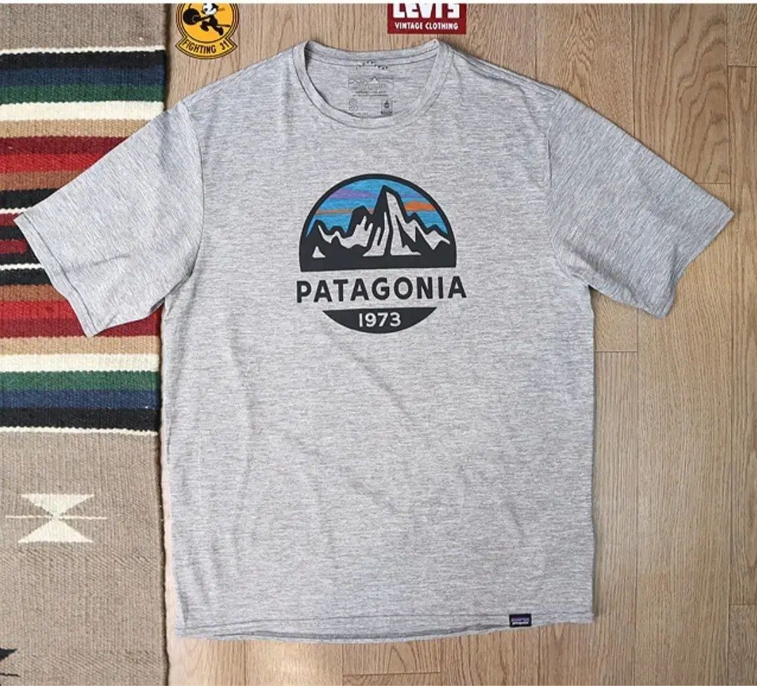 PATAGONIA パタゴニア Tシャツ S
