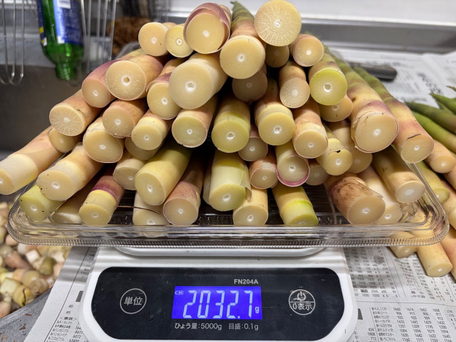 ニセコ産極太根曲がり竹 約2kg 送料無料 - メルカリ