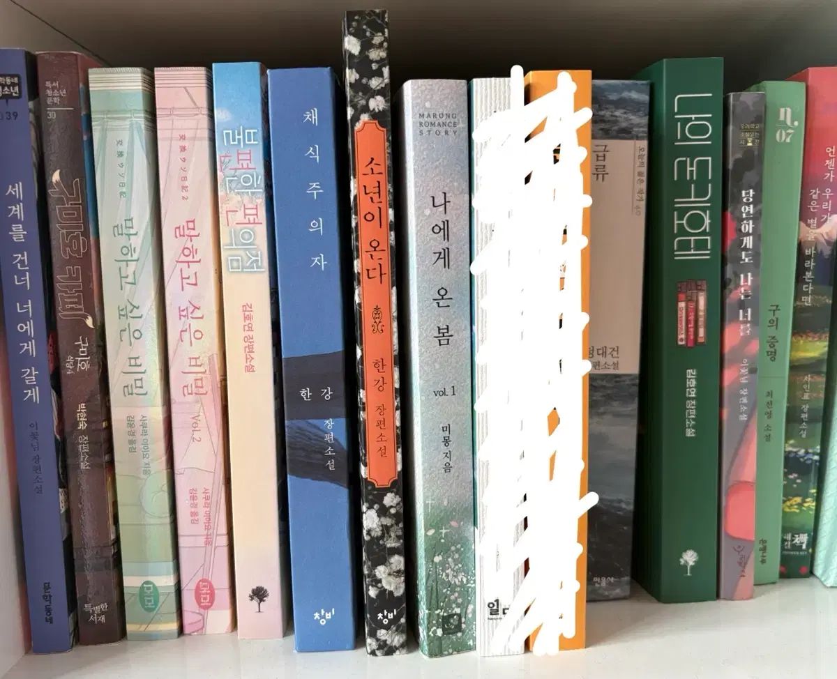 小説本 まとめ出品 (채식주의자 少年이온다 不便なコンビニ など)