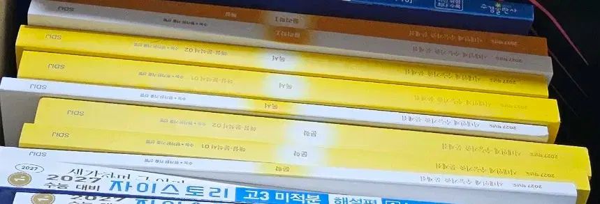 2027 時代人材 過去問集 韓国語 文学 An Ode 読書