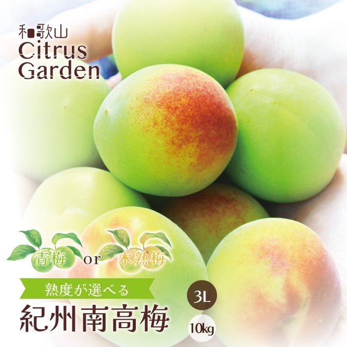 【熟度が選べる】南高梅 3Lサイズ 10kg (5kgx2箱) 送料無料 うめ 梅 青梅 木熟梅 和歌山 和歌山県産 みなべ産 田辺産 梅酒用 梅シロップ用 梅干し用 梅ジャム用