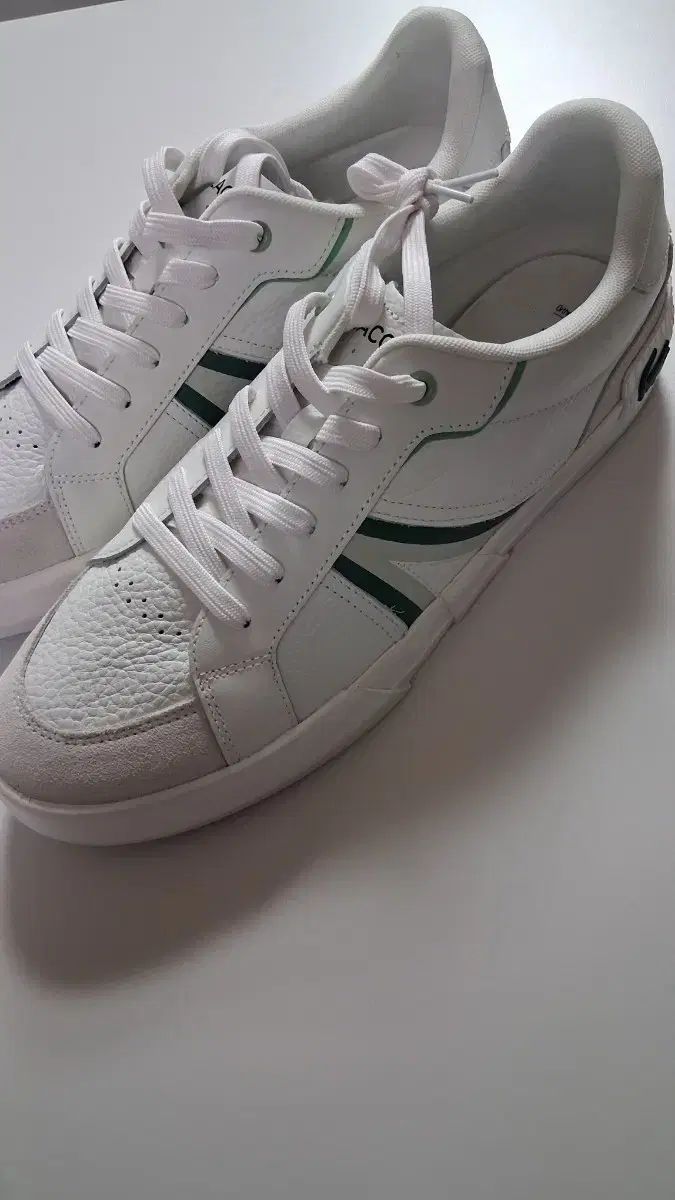 LACOSTE ラコステ メンズ スニーカー サイズ 290 新品 商品 出品 10,114円