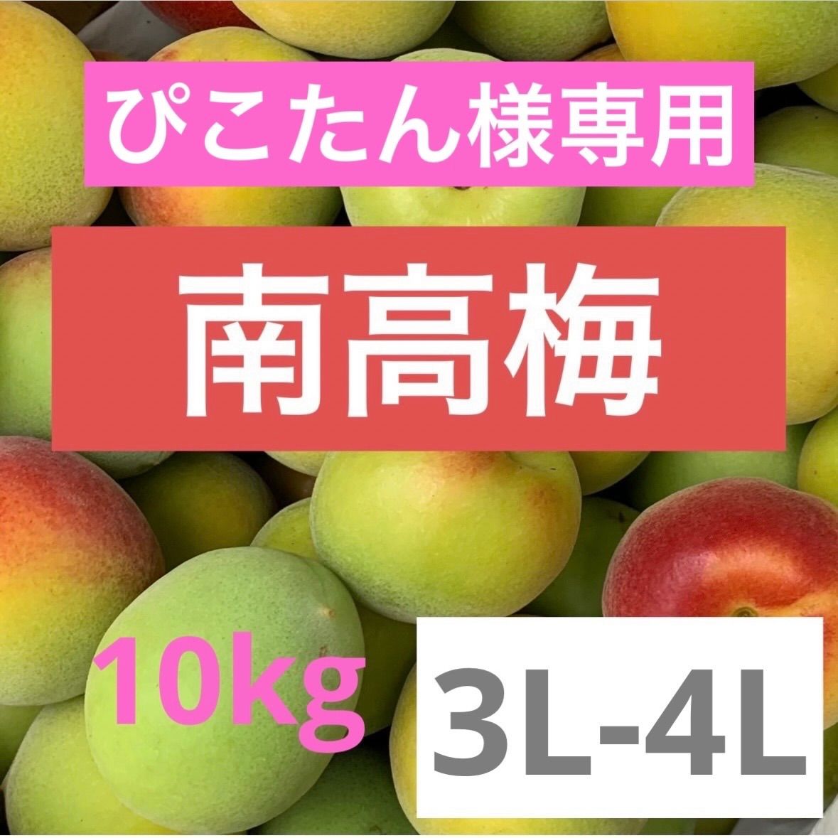 ぴこたん様専用　和歌山県産 紀州 南高梅♪ 3L〜4L 10キロ（箱込）梅酒 ジュースに♪ 北海道 沖縄離島購入不可m(._.)mヨシケイ農園