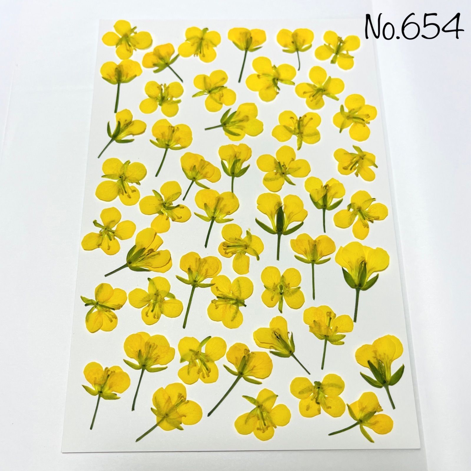 No.654♡押し花 菜の花 なの花 素材 花材 - メルカリ