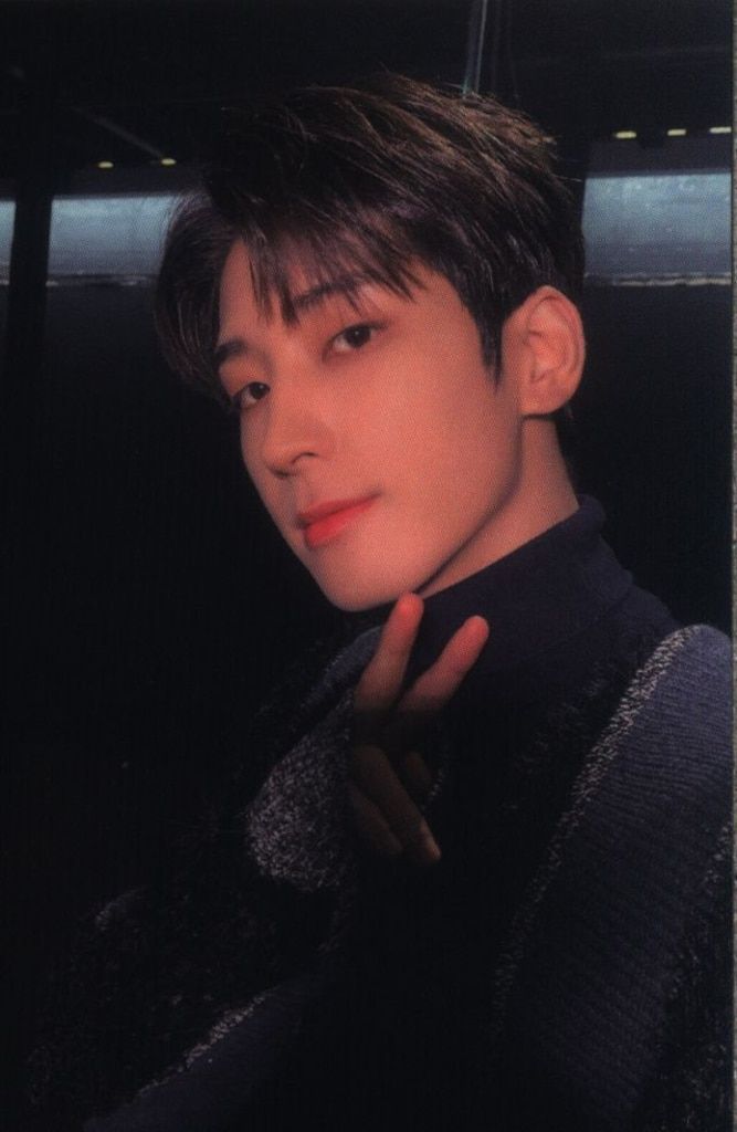 SEVENTEEN WONWOO Holiday Collection:Little Wishes パジャマ