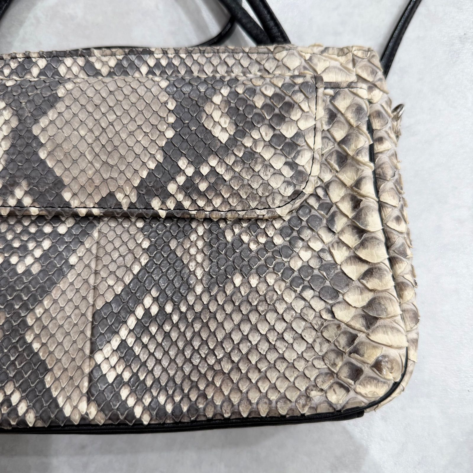 豪華4点セット】LeSportsac レオパードリュック ＆ パイソン柄バッグ