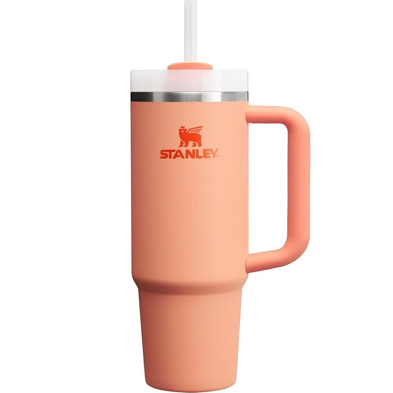 【新品】 STANLEY(スタンレー) H2.0 真空クエンチャー 0.88L ネクタリン 保冷 頑丈 ストロー 水筒 夏 アウトドア 食洗機可 (日本正規品)