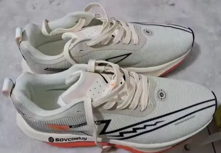 SOVCOELUY カーボン化