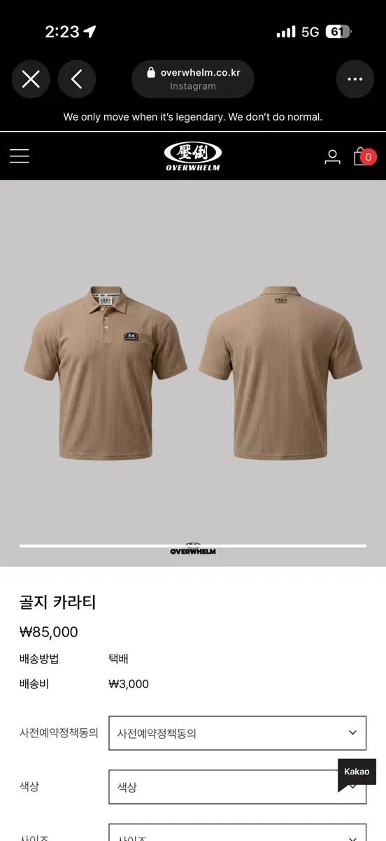 圧倒ゴージカラーTシャツ ブラウン L