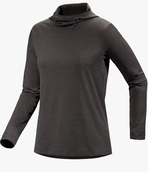 アークテリクスARC'TERYX 태마 フーディー (新品)