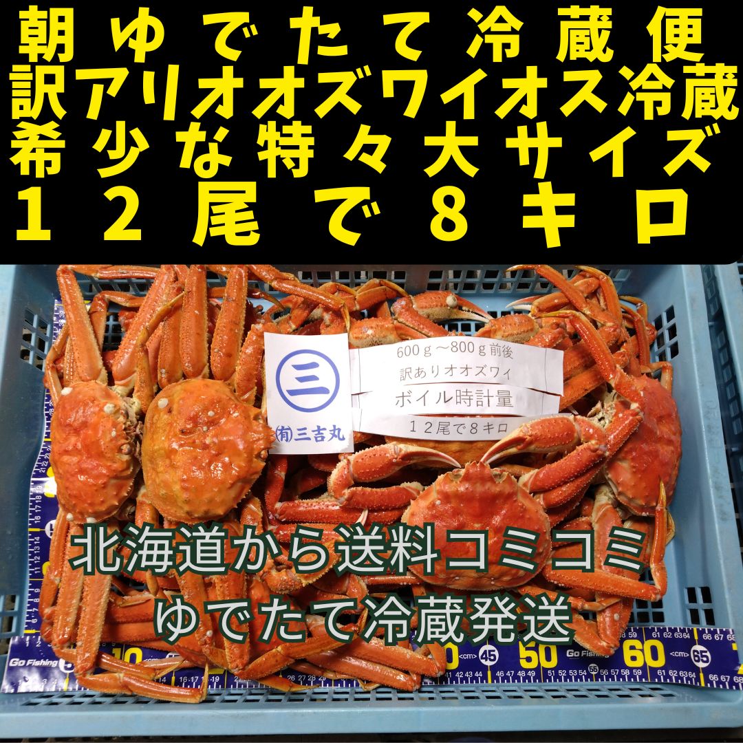 朝ゆで訳ありオオズワイ１２尾でボイル時８キロ　特々大ゆでたて冷蔵便