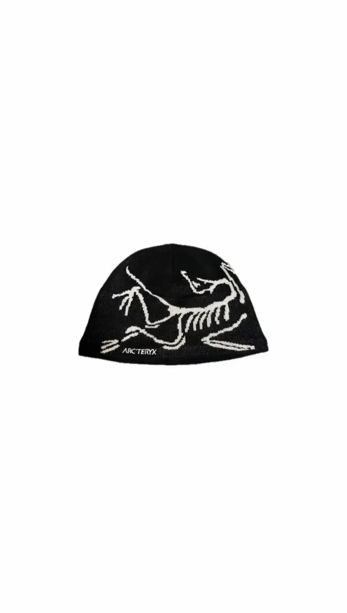 アークテリクス BIRD ヘッド トーク オルカ ビーニー