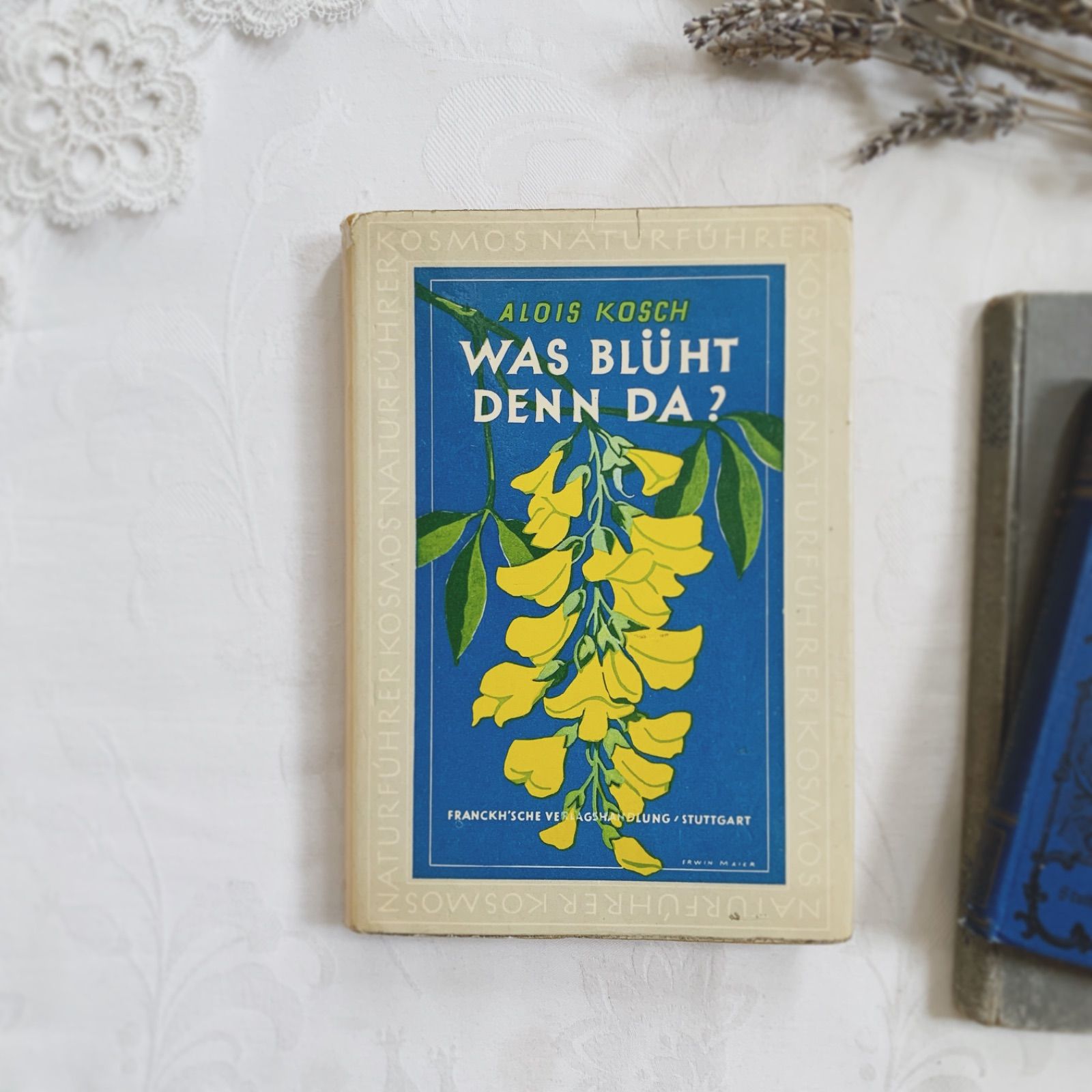 1957年 -豊富な図版が美しいビンテージ植物図鑑-ドイツ/ビンテージ