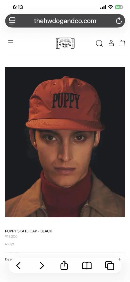 HWDOG Puppyスケートナイロンキャップ帽子ブラック