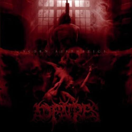 【CD】Scorn Aesthetics 11,263円