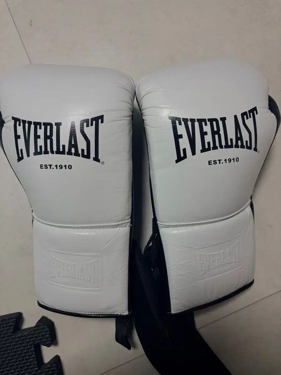 EVERLAST(エバーラスト) 16オンス
