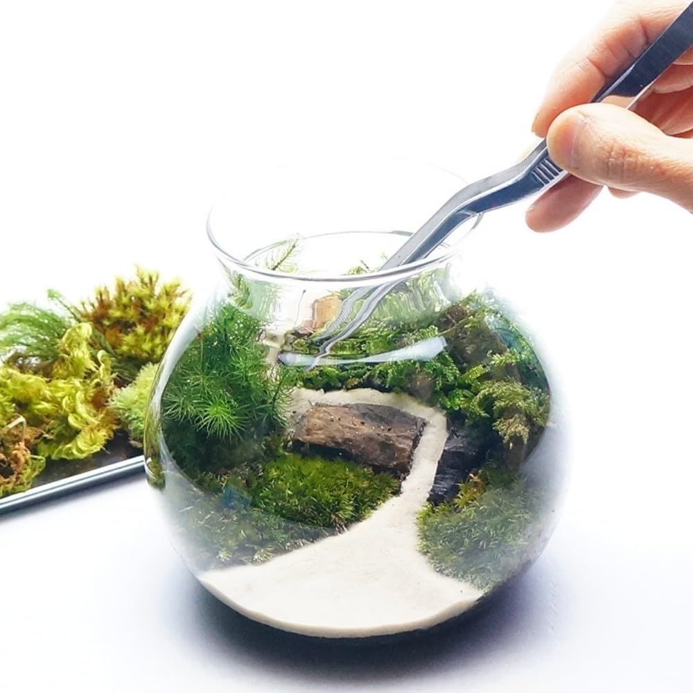 【スターターキット】 M：13ｃｍ LEDライト付 苔テラリウム 作成キット 苔セッ ト 苔 白砂 カラーサンド ハンドメイド 自作キット 手作り ギフト″mn 7c8d0c0f