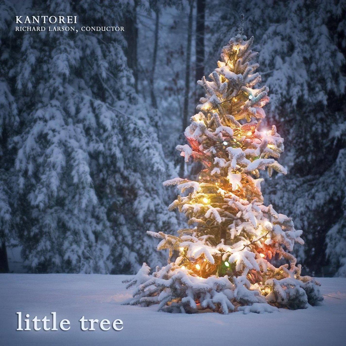 【CD】Little Tree