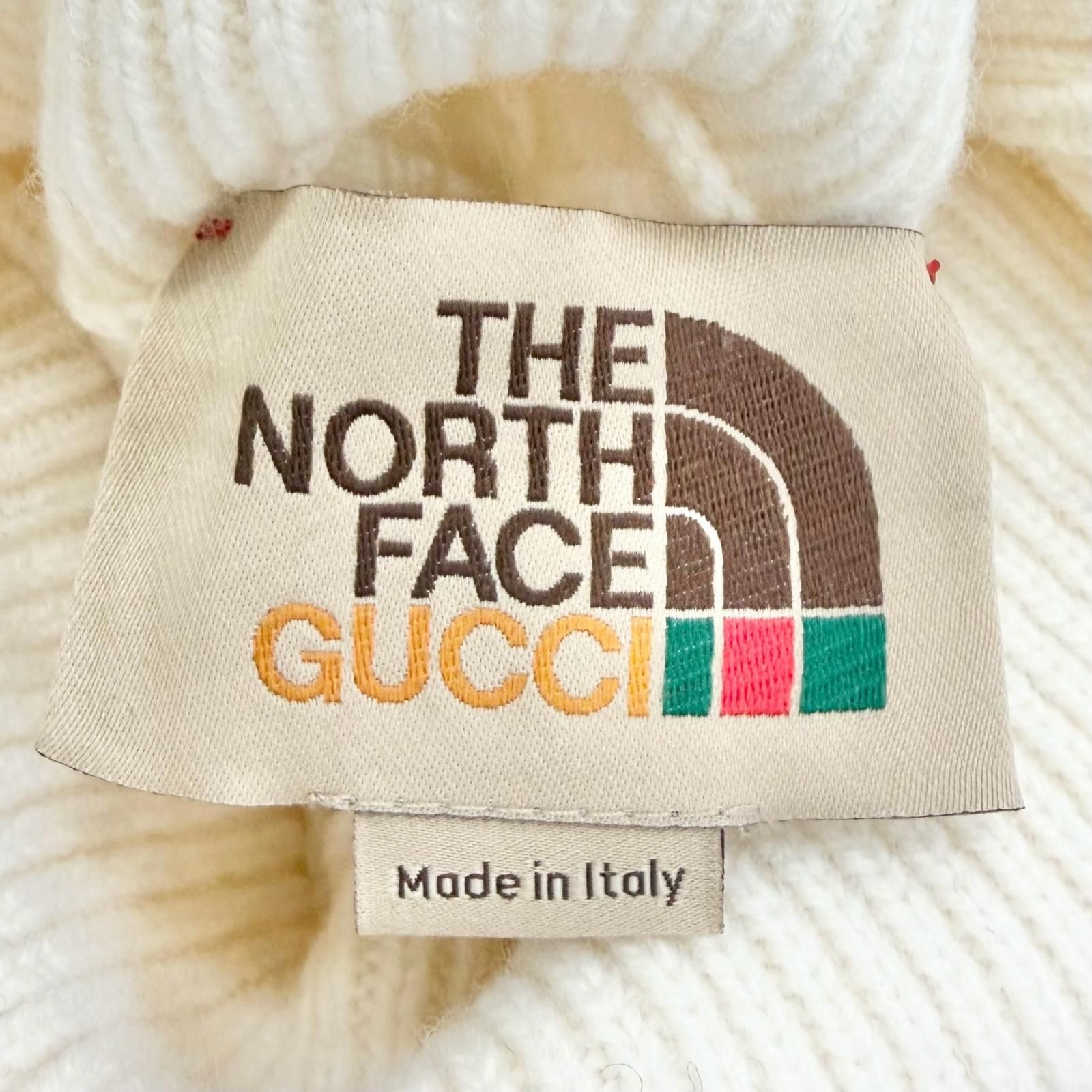 極美品△GUCCI×THE NORTH FACE グッチ ザ ノースフェイス 671689