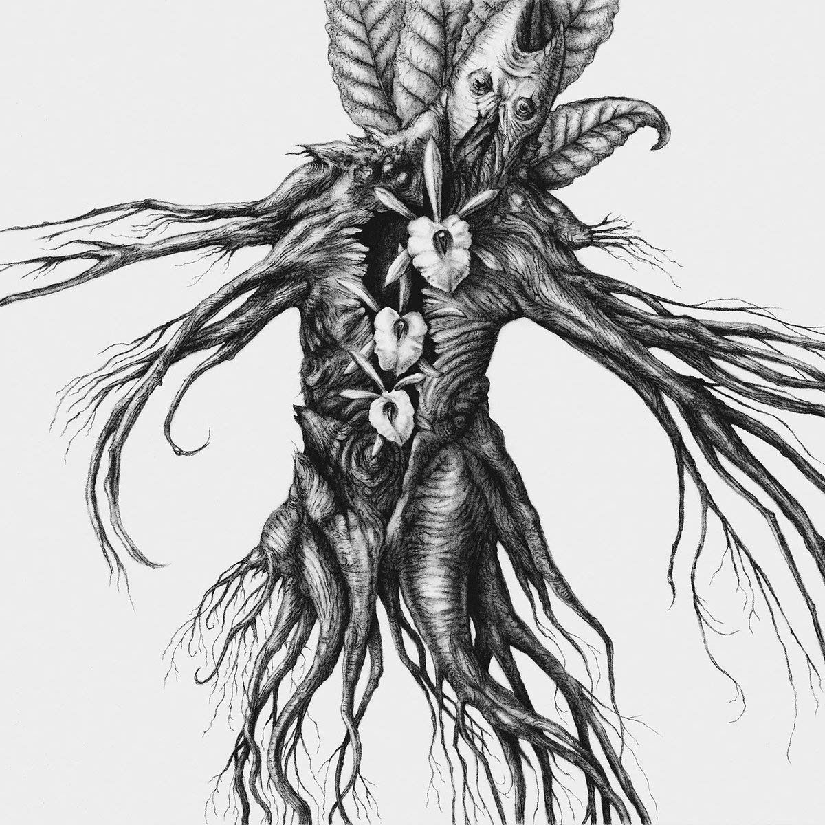 【CD】Iv: Mandragora