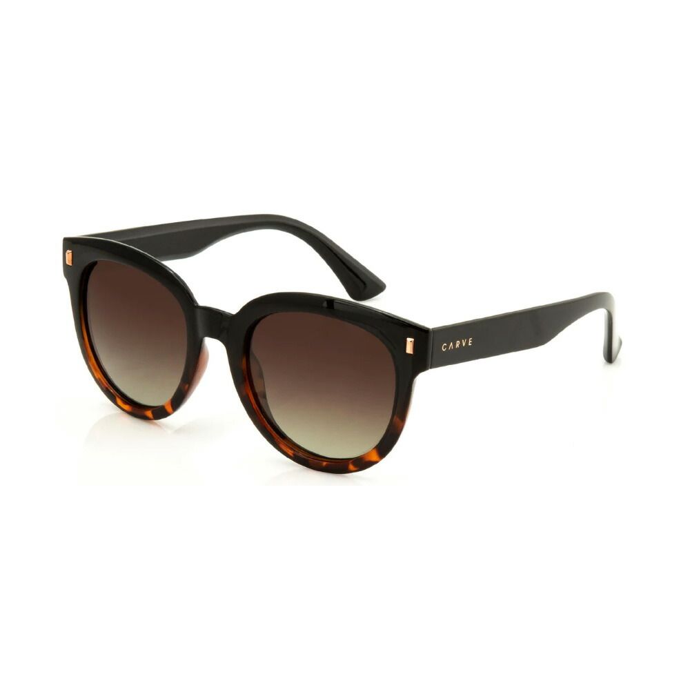カーブCARVE　ハーポHARPO　3414　GLOSS BLACK TROT/BROWN GRADIENT POLARIZED　9329295601022　サングラス　アイウェア　偏光レンズ　