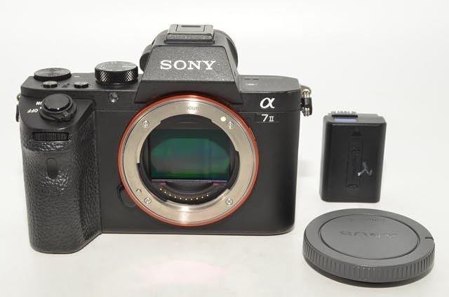 1064★実用品・ショット数7162回★SONY α7II