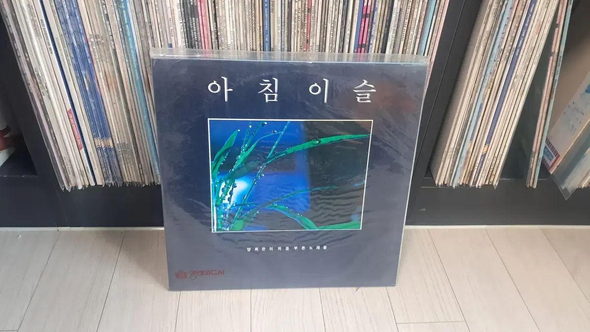 LP 未開封 ヤン・ヒウン 2LP （ 1987 年) 朝露