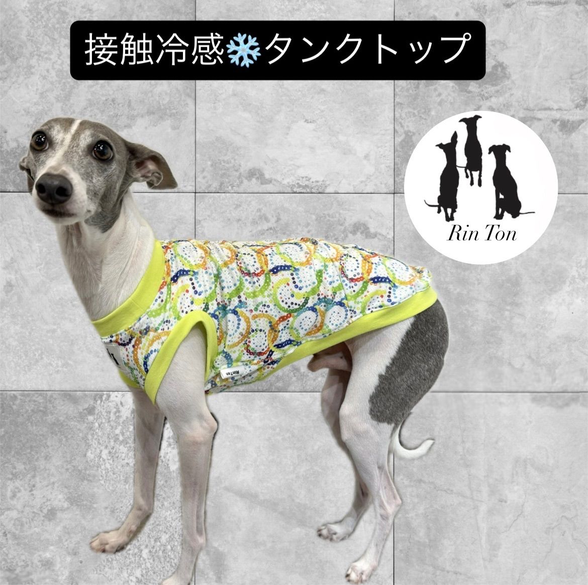 イタグレ服 接触冷感 タンクトップ 名前入れOK イタリアングレー