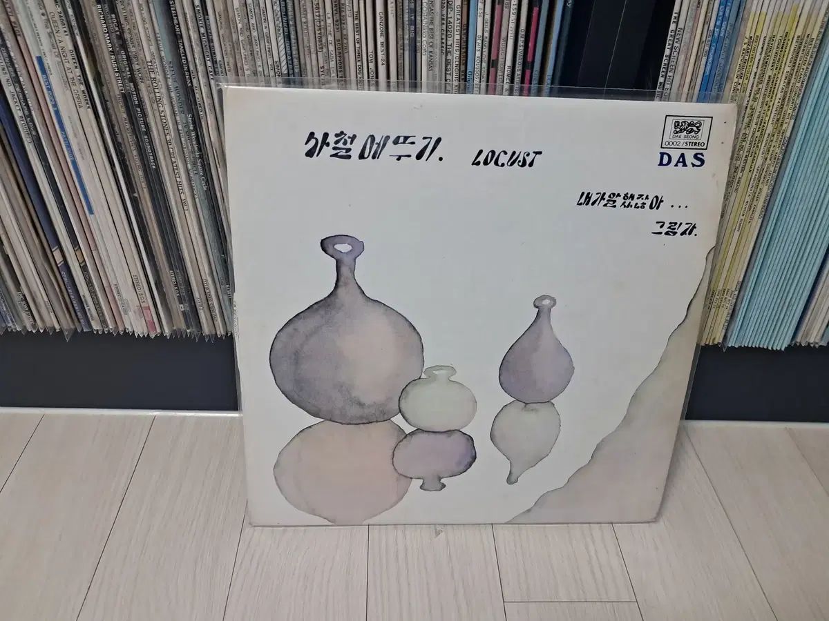 LP 四季のイナゴ 早い ( 1981 年) 言ったでしょ